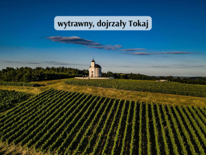 tokaj (800 x 600 px)